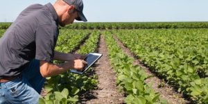 Can I use ERP for agriculture?