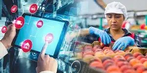 Is it a good idea to have ERP system for Food manufacturing?